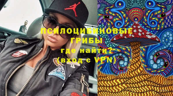 хмурый Волосово