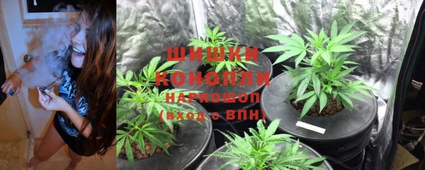 хмурый Волосово