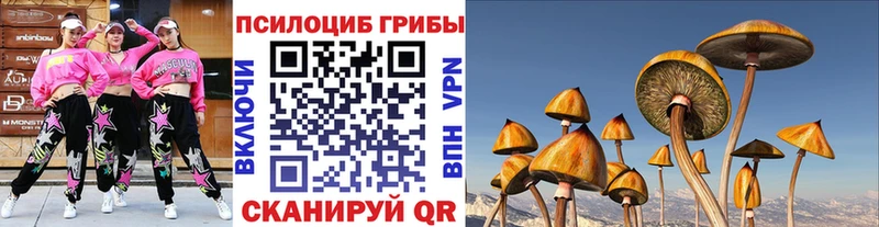 Галлюциногенные грибы Psilocybe  Псков 