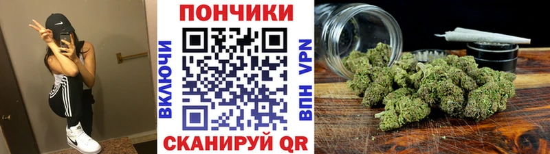 Бошки марихуана марихуана  где можно купить наркотик  Псков 